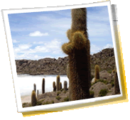 Reisestadt-Panorama - Bolivien, wetter, telefonvorwahl, fotogalerie