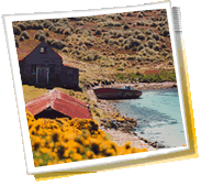 Reisestadt-Panorama - Falklandinseln, wetter, telefonvorwahl, fotogalerie