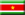 Botschaft von Suriname in Indien - Indien