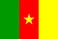 Nationalflagge, Kamerun