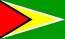 Nationalflagge, Guyana