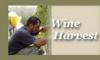 Make your own wine with the best wine makers  4 days/ 3 nights