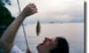 SPORT FISHING TRIPS in Rio de Janeiro & Green Coast-RJ